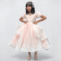 MELCHOR LUX PRINCESS GOWN - BLUSH image 0