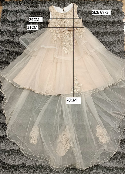 KIR CHAMPAGNE DRESS image 3