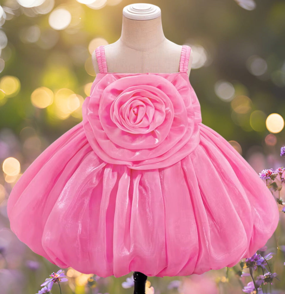 KATE BABY DRESS image 0