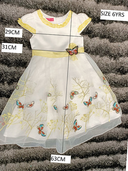 ZARA BUTTERFLY DRESS image 3