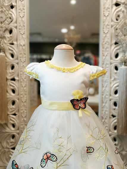 ZARA BUTTERFLY DRESS image 1