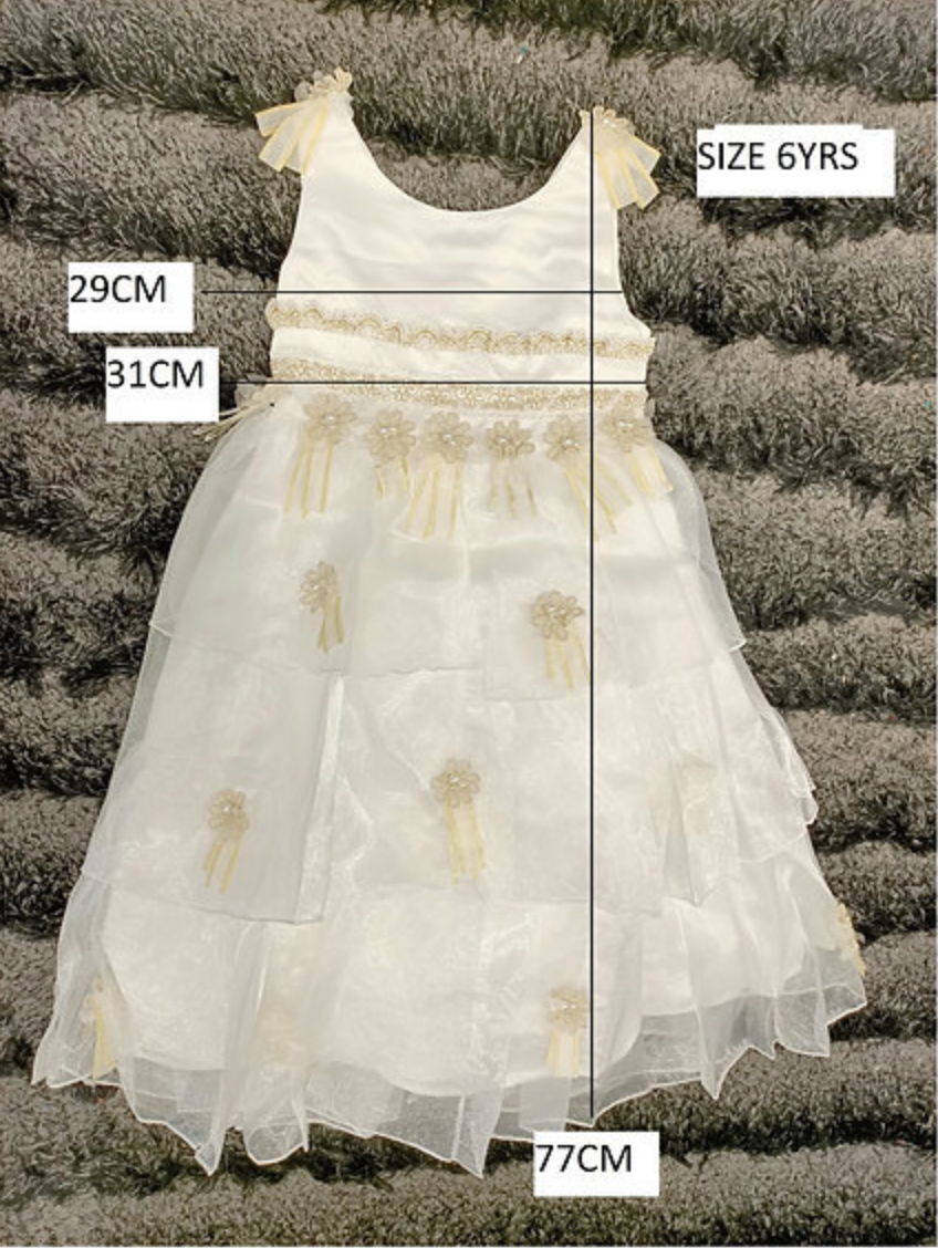 Jana White & Gold Applique Tulle Dress