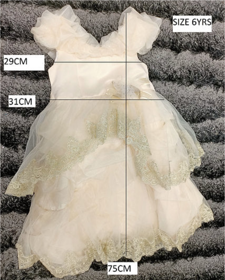Willow Princess Birthday Dress