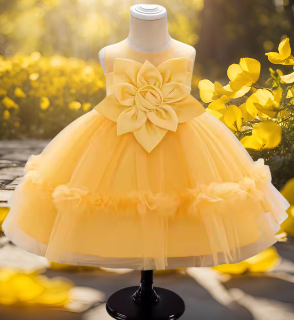 ARIYAH BABY DRESS image 0